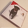 Snowy Greetings - Black Labrador Christmas Card Pack x10